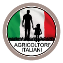 Dynamic Content Image