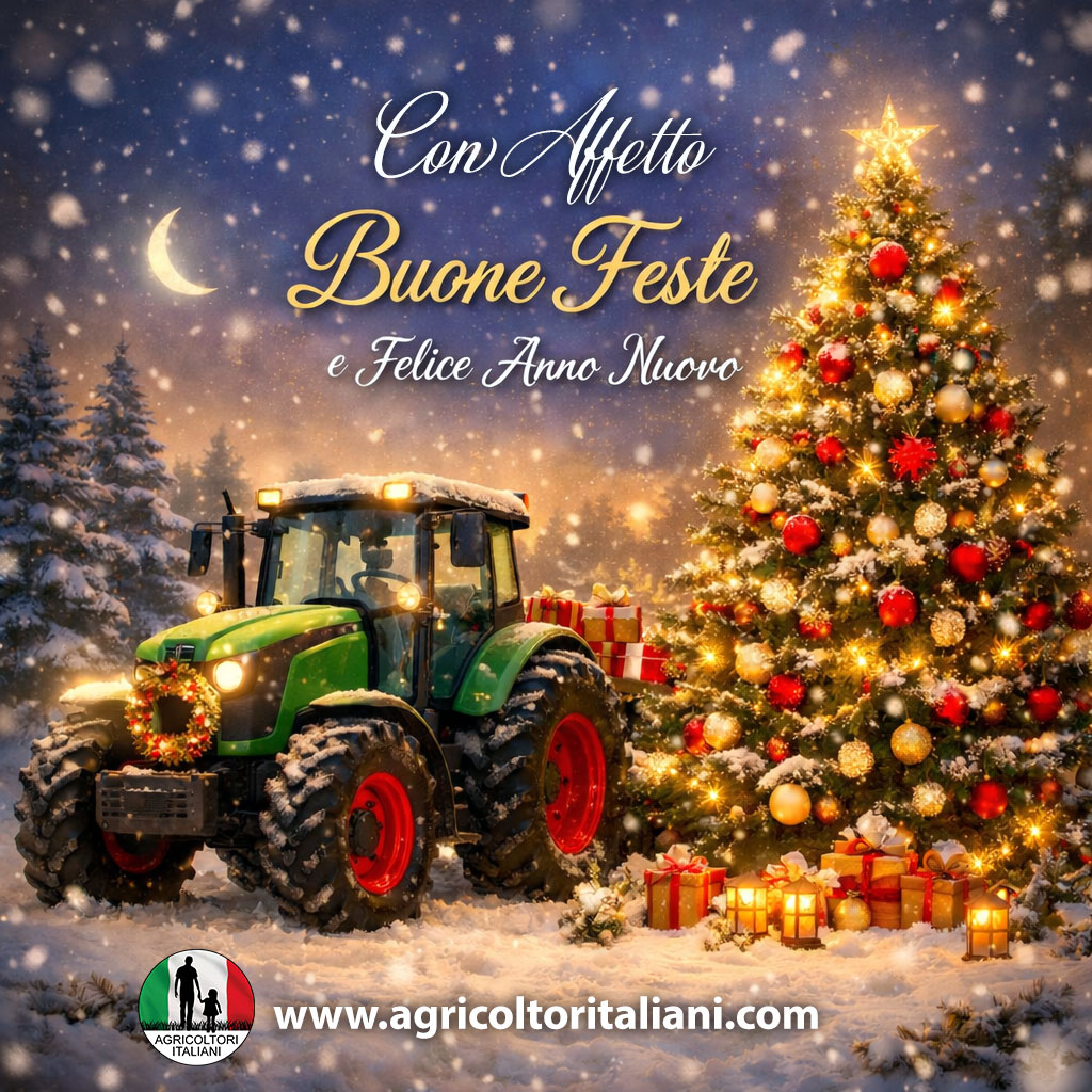Buon Natale
