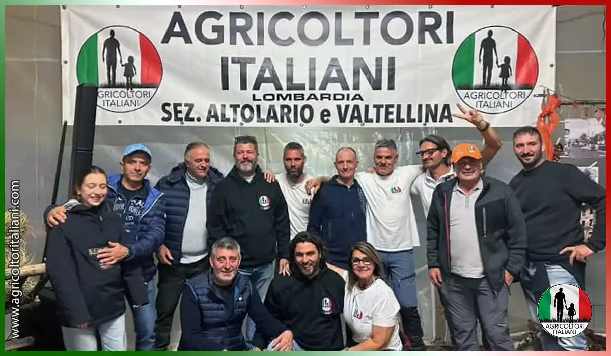 Dynamic Content Image